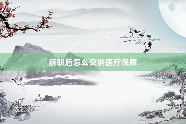 辞职后怎么交纳医疗保障
