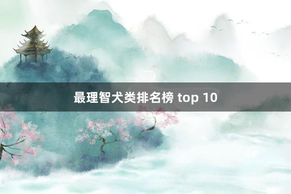 最理智犬类排名榜 top 10