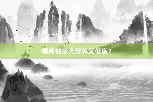 哪种袖珍犬好养又低廉？